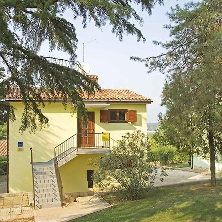 Daila Apartments Novigrad  Zewnętrze zdjęcie