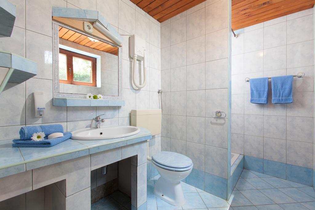 Daila Apartments Novigrad  Pokój zdjęcie